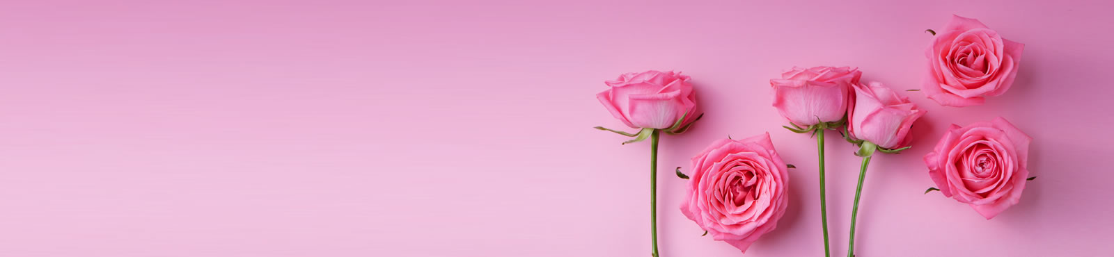 Imagen banner